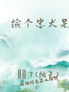 捡个忠犬是饿狼