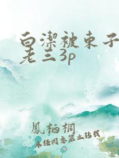 白洁被东子老二老三3p