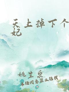 天上掉下个奇王妃