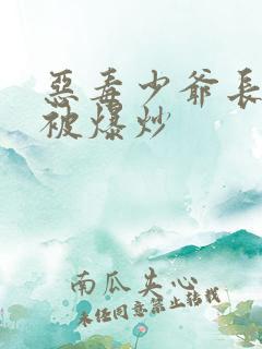 恶毒少爷长大后被爆炒