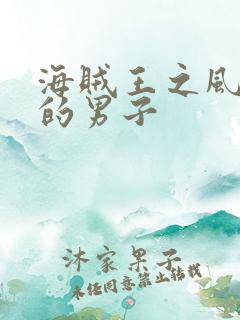 海贼王之风一样的男子