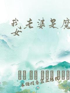 我老婆是魔法少女