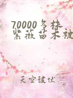 70000多株紫薇苗木被强毁