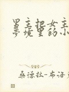 男主把女主拖进梦境里的小说