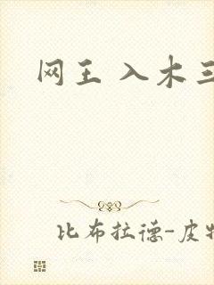 网王 入木三分