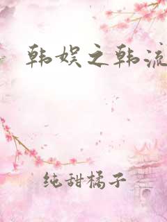 韩娱之韩流全球