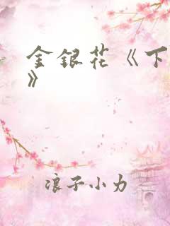 金银花《下厨房》