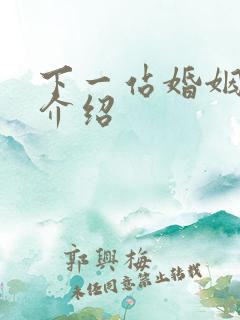 下一站婚姻剧情介绍