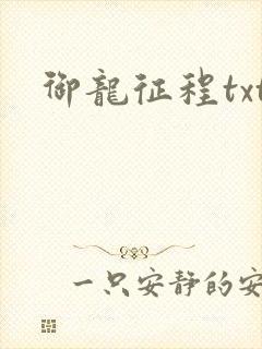 御龙征程txt