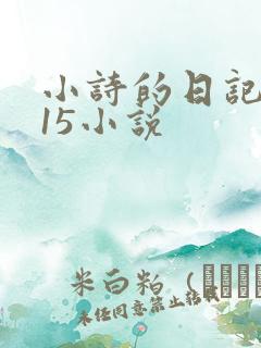 小诗的日记1一15小说