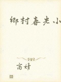 乡村春光小说
