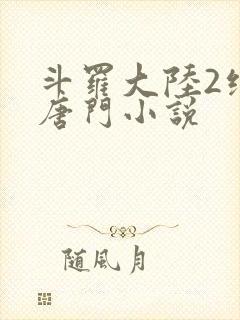 斗罗大陆2绝世唐门小说