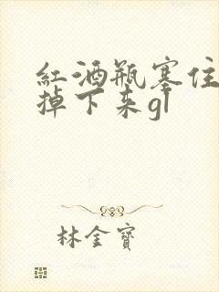 红酒瓶塞住不准掉下来gl