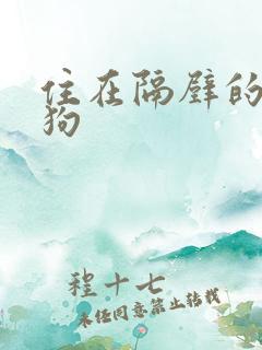 住在隔壁的小狼狗