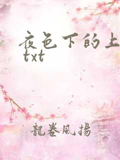 夜色下的上海滩 txt