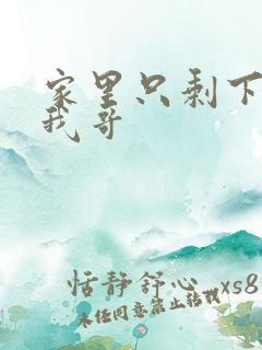 家里只剩下我和我哥