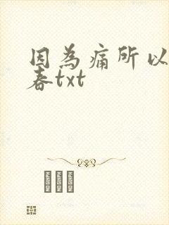 因为痛所以叫青春txt