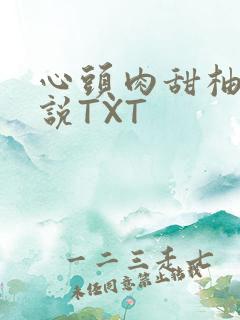 心头肉甜柚子小说TXT
