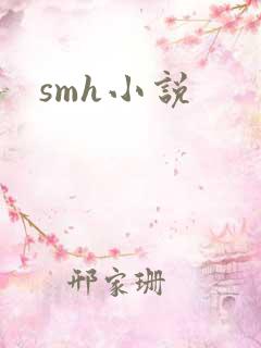 smh小说
