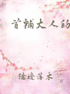 首辅大人的套路