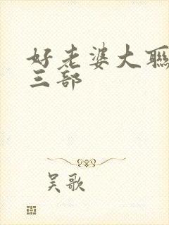 好老婆大联盟第三部