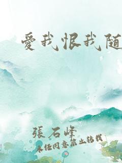 爱我恨我随便你