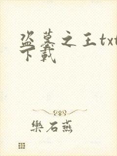 盗墓之王txt下载