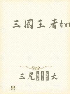 三国王者txt