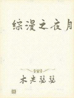 综漫之夜月