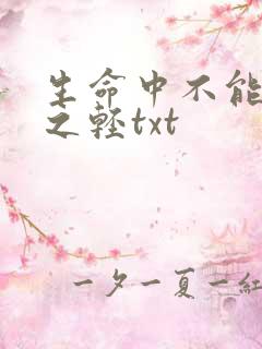 生命中不能承受之轻txt