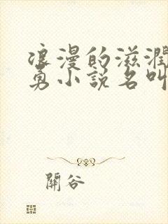 浪漫的滋润刘大勇小说名叫什么?