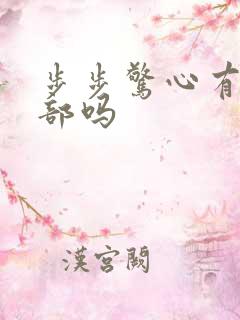 步步惊心有第二部吗