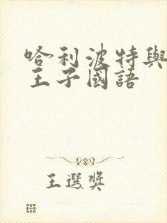 哈利波特与混血王子国语