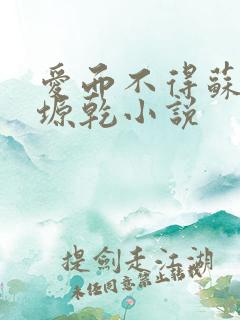 爱而不得苏路顾塬乾小说