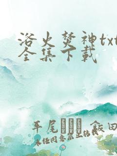 浴火焚神txt全集下载