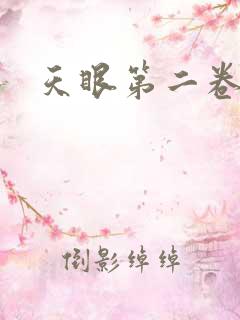 天眼第二卷