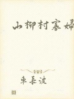 山柳村寡妇情史