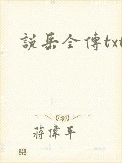 说岳全传txt