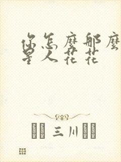 你怎么那么美汪星人花花