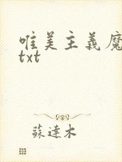 唯美主义魔法师txt