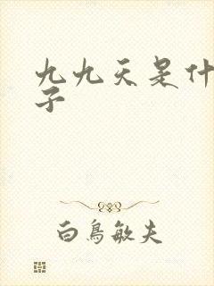 九九天是什么日子