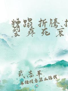 糟蹋 折腾 撕裂 疼 死 哀求