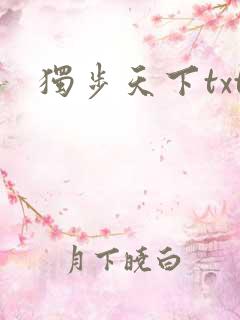 独步天下txt