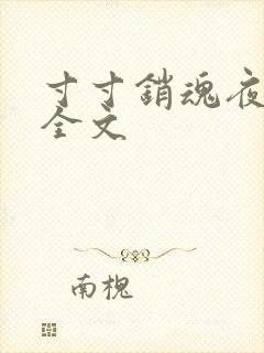 寸寸销魂夜春光全文