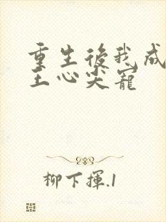 重生后我成了傻王心尖宠