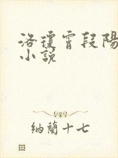 洛琼霄段阳澍的小说