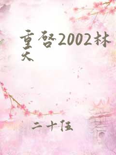 重启2002林天