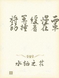 将军缓慢而有力的撞着在车视频