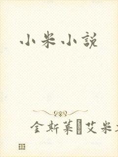小米小说