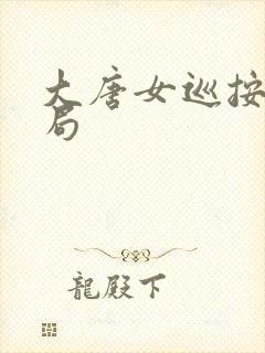 大唐女巡按大结局